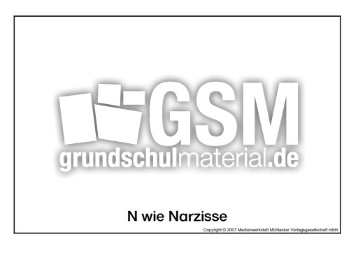 N-wie-Narzisse.pdf